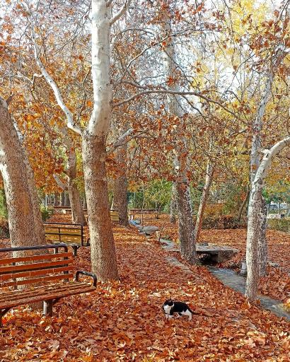 عکس بوستان سرچشمه سرابان