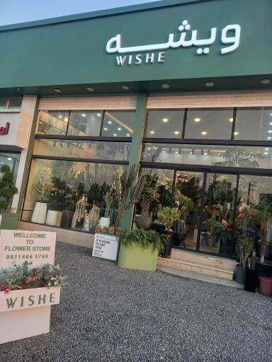 عکس گالری گل ویشه