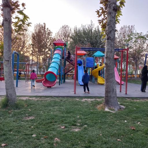 عکس بوستان هویزه
