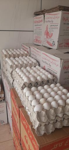 عکس عمده فروشی تخم مرغ نعیمی 