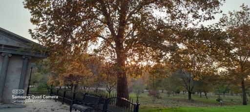 عکس رویشگاه قطعه اروپا