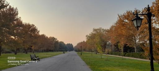 عکس رویشگاه قطعه اروپا