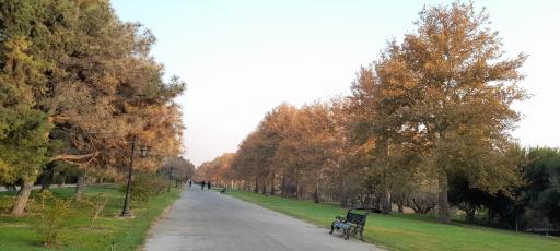 عکس رویشگاه قطعه اروپا