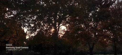 عکس رویشگاه قطعه اروپا