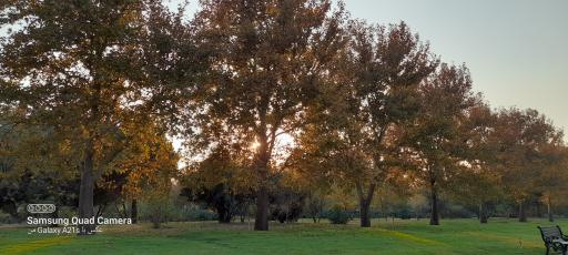 عکس رویشگاه قطعه اروپا