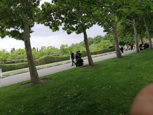 رویشگاه قطعه اروپا