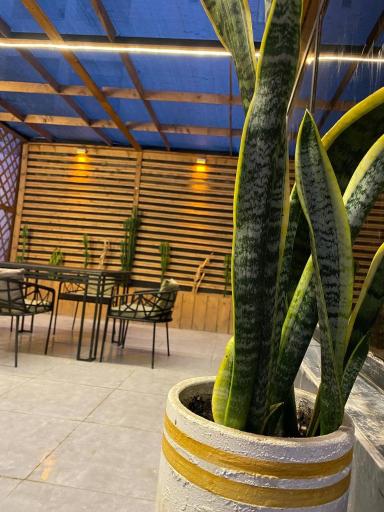 عکس کافه رستوران پاسارگاد