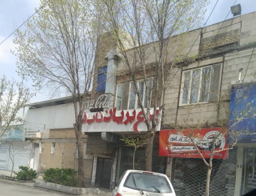 عکس مرغ بریان ناب ف