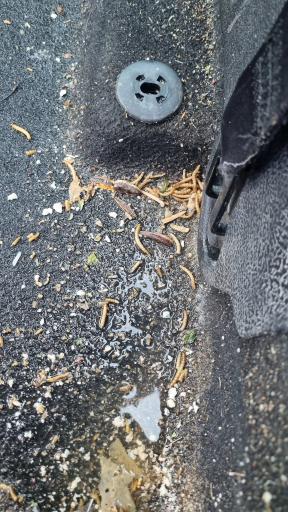 عکس کارواش فست واش