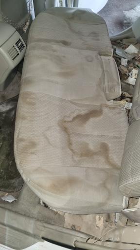 عکس کارواش فست واش