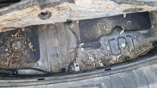 عکس کارواش فست واش