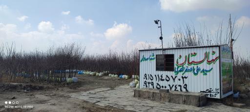 عکس نهالستان نصری