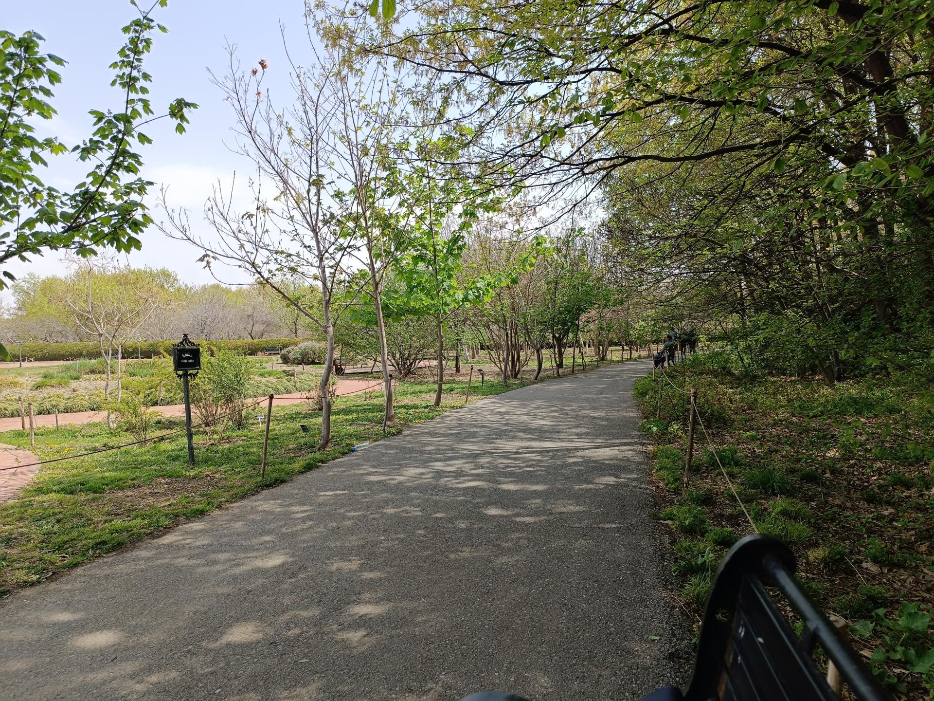 عکس رویشگاه قطعه اروپا