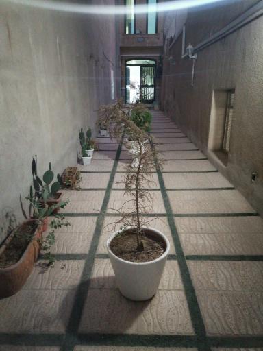 عکس مرکز مشاوره و خدمات روانشناختی ایران