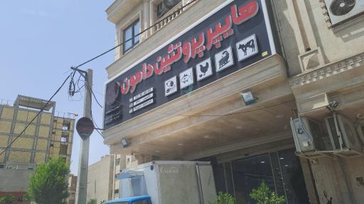 عکس هایپر پروتئین دامون