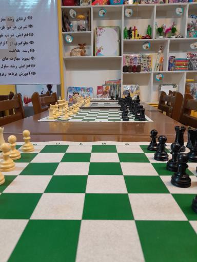 عکس آکادمی شطرنج امیر نساج