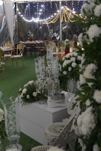 عکس باغ عقد مِهرا