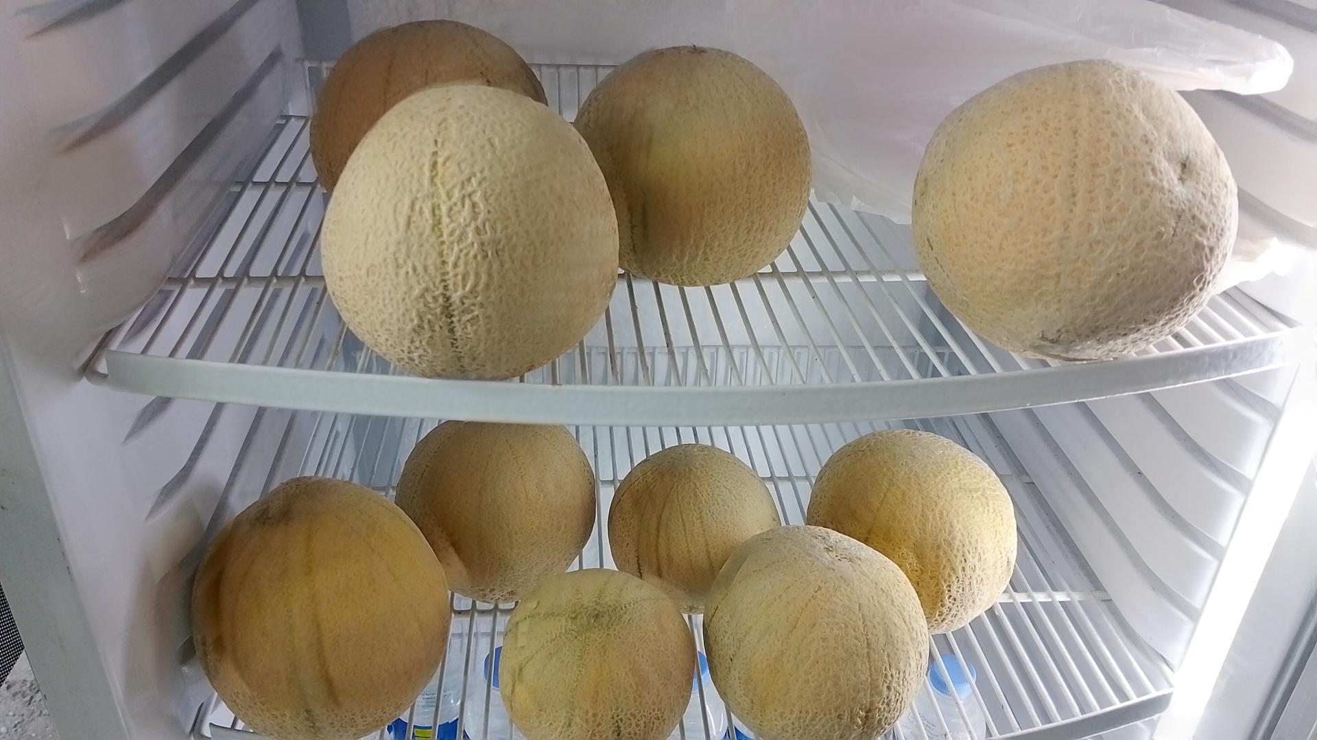 عکس کافه ریور 