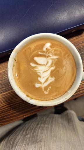 عکس کافه روشا