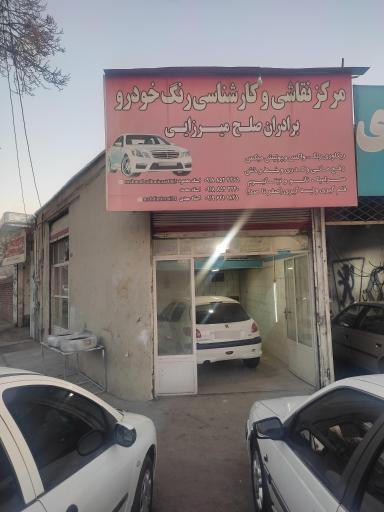 عکس نقاشی احیا رنگ و کارشناسی محمود صلح میرزائی