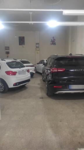 عکس نقاشی احیا رنگ و کارشناسی محمود صلح میرزائی