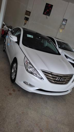 عکس نقاشی احیا رنگ و کارشناسی محمود صلح میرزائی