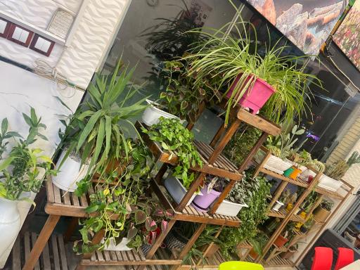 عکس کبابی احد ارادتی