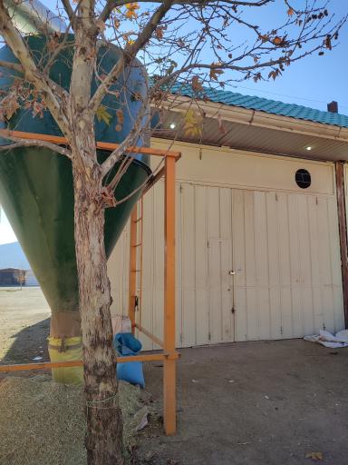 عکس بوجاری محمدپور