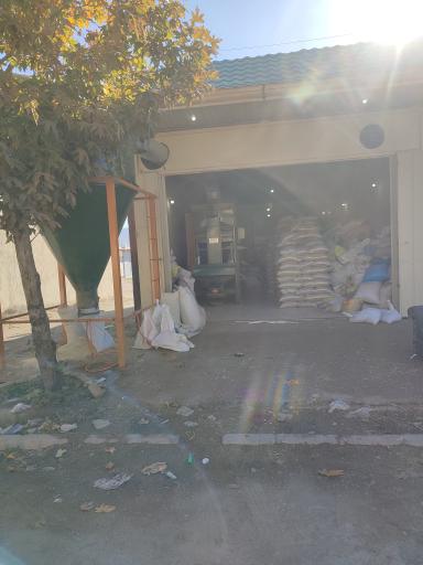 عکس بوجاری محمدپور