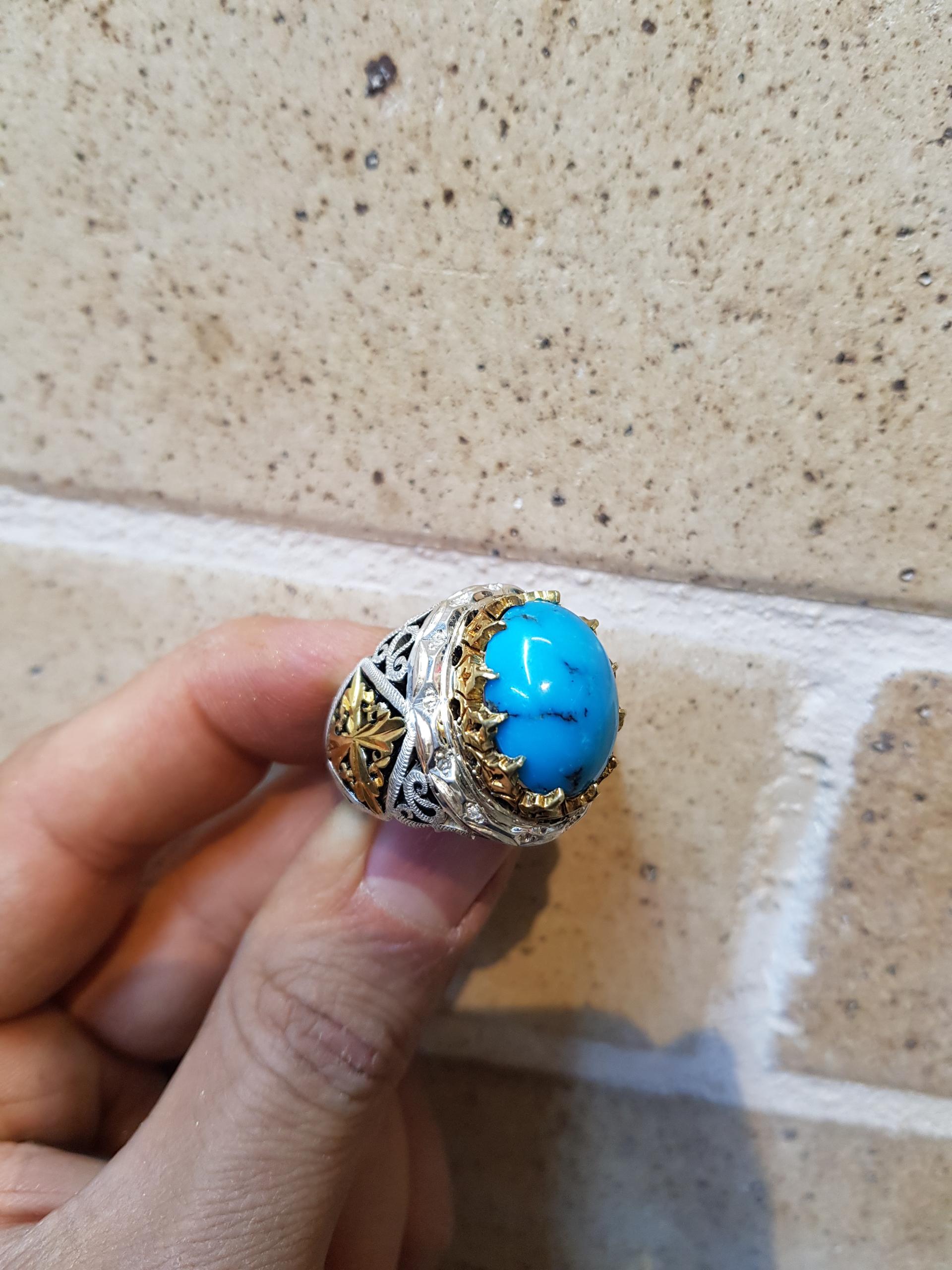 عکس گنجینه فیروزه نظافتی