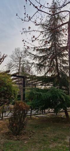 عکس پارک زمرد