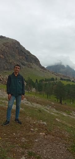 عکس بام کرمانشاه