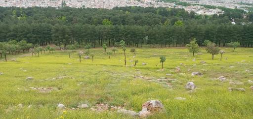 عکس بام کرمانشاه