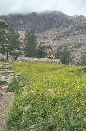 عکس بام کرمانشاه