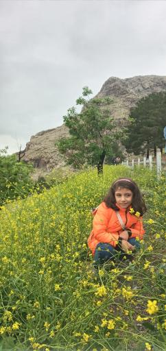 عکس بام کرمانشاه