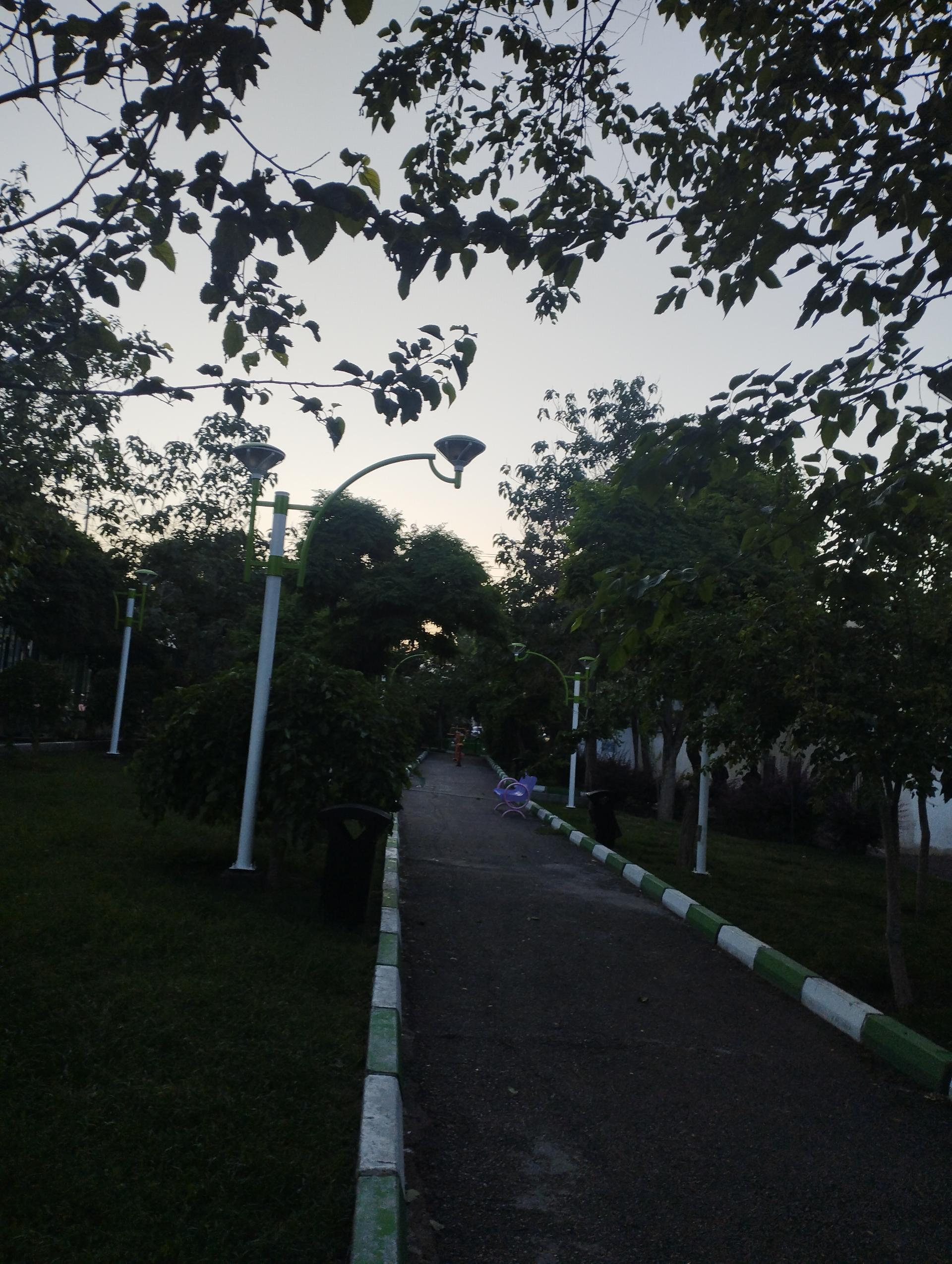 عکس بوستان شمشادی