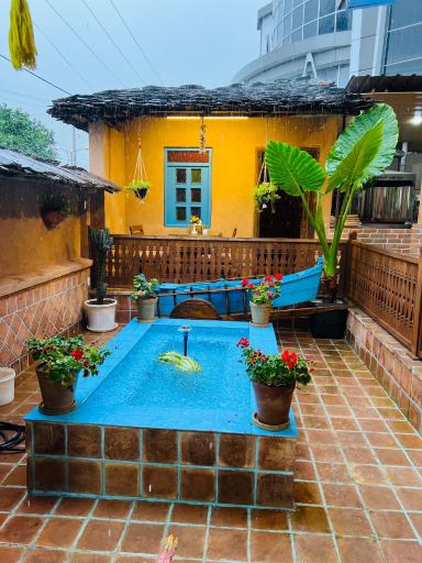 عکس کته کباب پدیده شمال