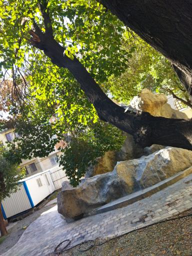 عکس پارک زمرد