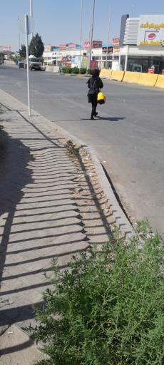 عکس ورودی بازار روز تره بار