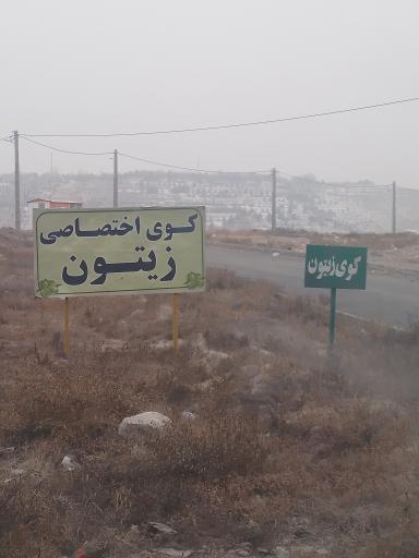 عکس شهرک زیتون