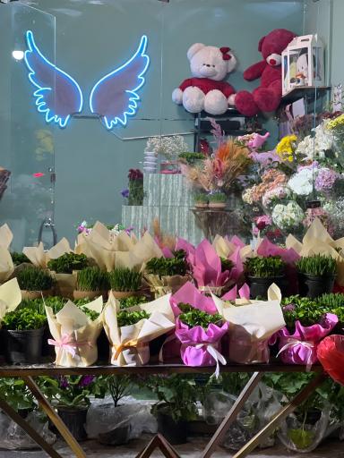 عکس گلفروشی فلورا