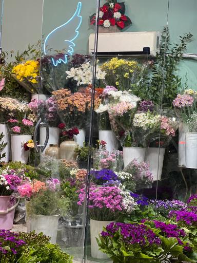 عکس گلفروشی فلورا