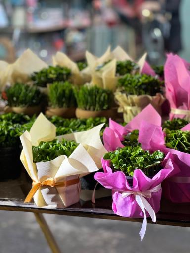 عکس گلفروشی فلورا