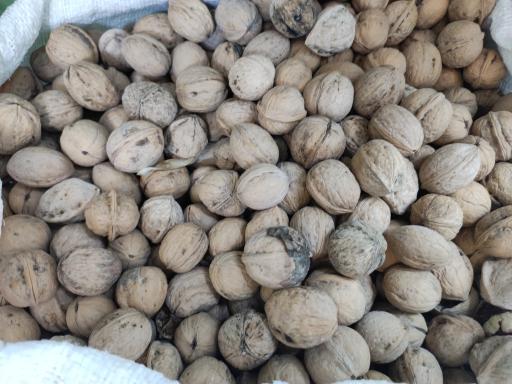 لبنیات سنتی لیقوانی 