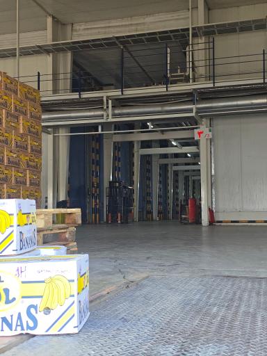 عکس سردخانه ستاره پارس