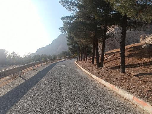 عکس بام کرمانشاه