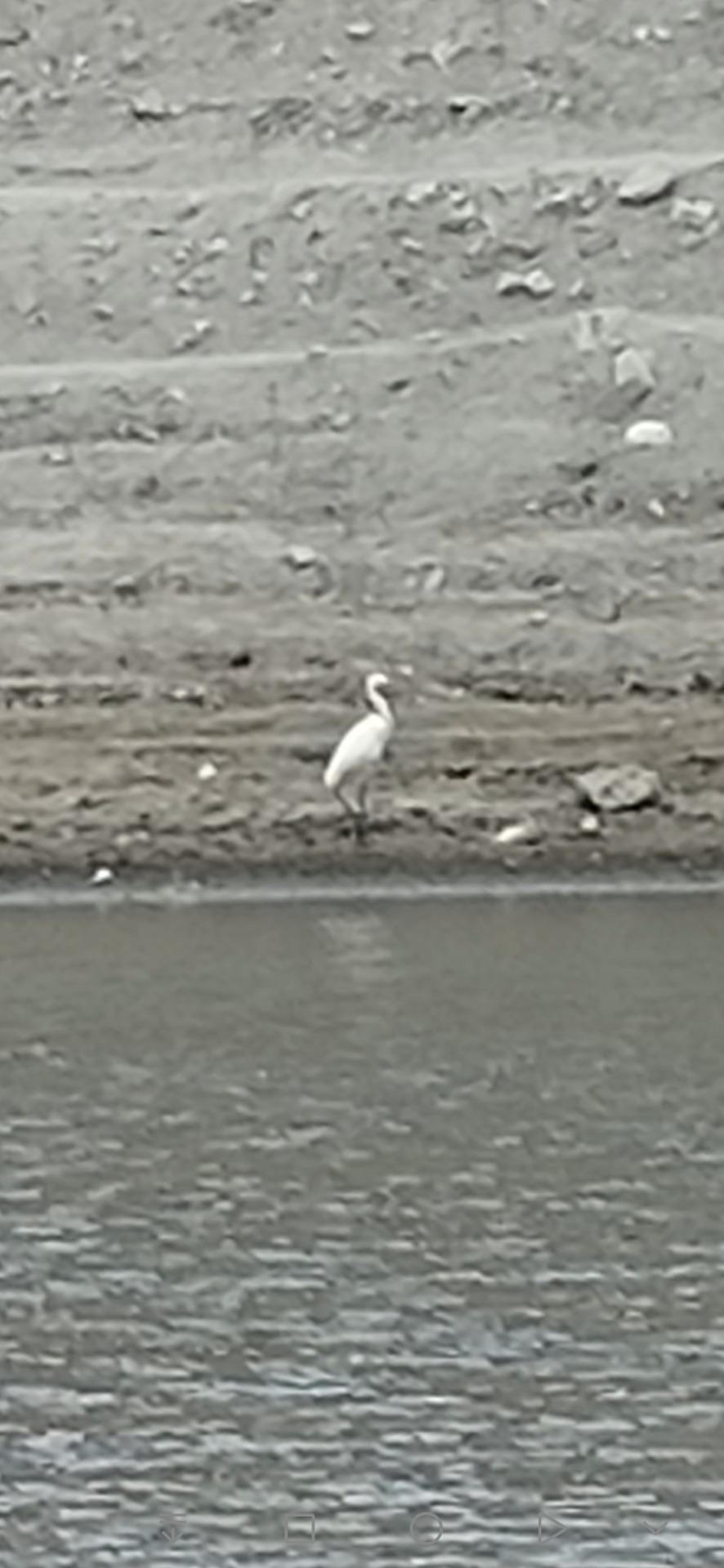 عکس سد باستانی و چاه طرق