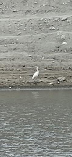 عکس سد باستانی و چاه طرق