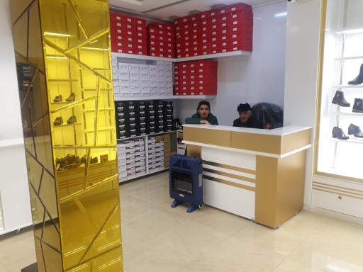 عکس چرم درنیکا