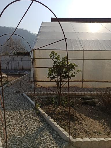 عکس گلخانه ایلیا